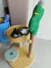 喵仙儿猫爬架一体猫窝多层跳台剑麻猫抓柱猫抓板小型不掉屑仙人掌猫玩具 实拍图