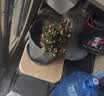 寿禾 花盆带托大号家庭种植花卉绿植容器 木里盆大号-深灰 实拍图