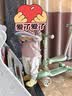 babylove婴幼儿春秋纯棉长袖t恤纯色打底衫男女宝宝简约休闲衣服 实拍图