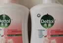 滴露（Dettol）洗手液抑菌消毒滋润500g+500g 补充装 儿童家庭护手替换装 实拍图
