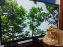 海尔出品统帅电视L43F5D 43英寸开机无广告 京东联名款 京东OS JD 01系列足球季专属小户型1级国家补贴 实拍图