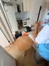Liteclear去除甲醛上门服务新房急入住清除剂治理神器母婴净化专用京东自营 实拍图