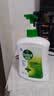 滴露（Dettol）洗手液松木500g瓶 健康抑菌消毒非补充装 儿童家庭用清爽去油 实拍图
