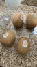 佳沛（zespri）新西兰阳光金奇异果6粒装88-103g猕猴桃水果中秋节礼品送水果礼盒 实拍图