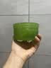 自然乐园芦荟胶晒后修复凝胶补水保湿身体乳液面霜女男士300ml 实拍图