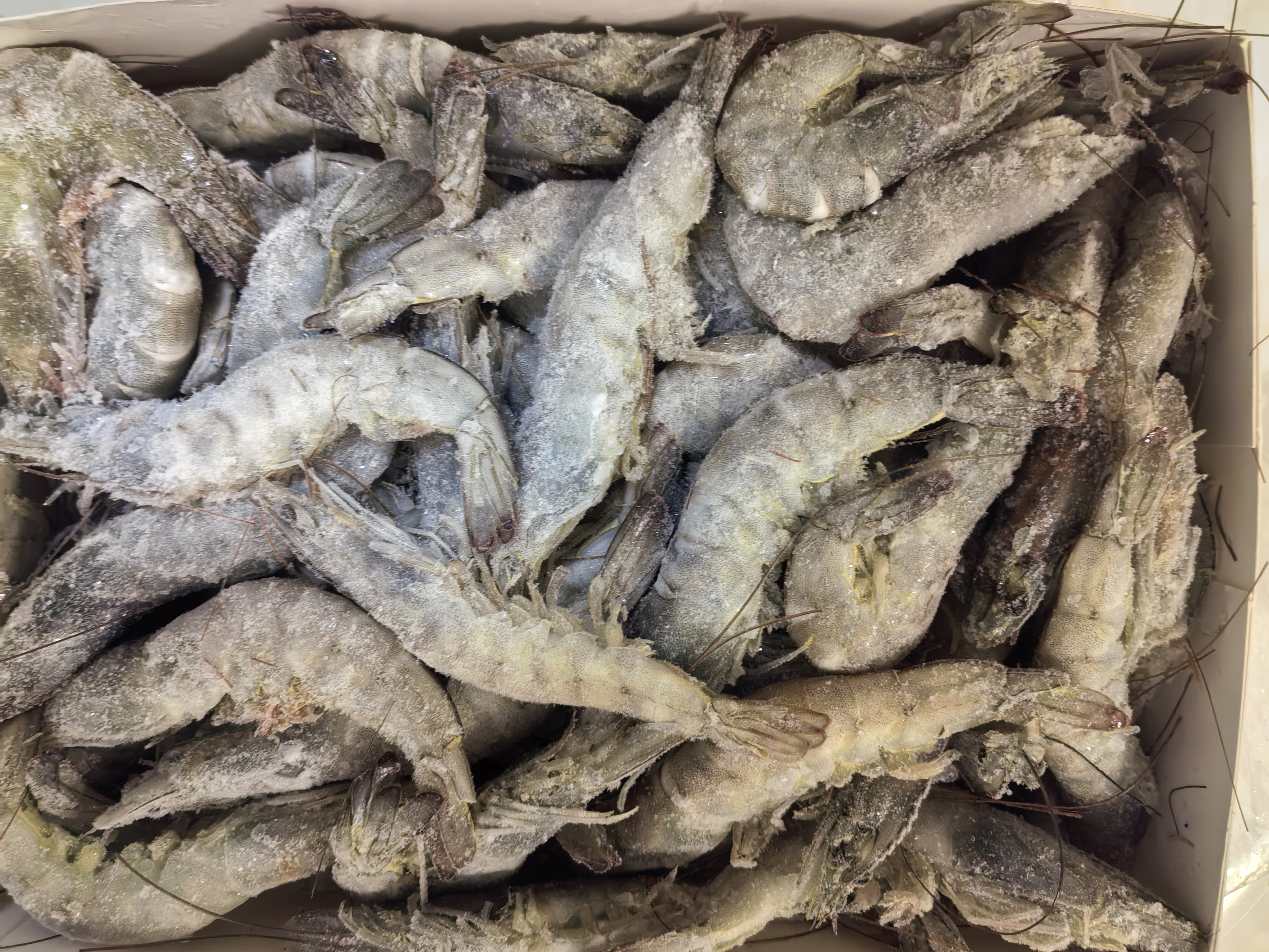 万景国产大虾 盐冻北海白虾(大号) 80-100只净重4斤 中秋聚餐海鲜 实拍图