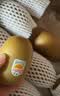佳沛（zespri）新西兰 金奇异果特大果15粒134-146g猕猴桃中秋节礼品送水果礼盒 实拍图