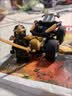 乐高（LEGO）积木30709 ferrari499P超级跑车+30723 忍者寇的战车 双组套 实拍图