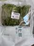 罗马生菜约500g 实拍图