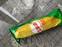伊利经典套装四个圈 小雪生 苦咖啡 伊利牧场共35支2225g 实拍图