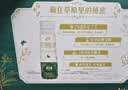 伊利草原酸奶巴氏杀菌原味酸奶230g*10瓶/箱 中秋礼品 礼盒装 实拍图