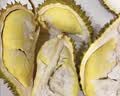 京鲜生 进口金枕头鲜榴莲 净重5-6斤 1个装 新鲜榴莲 水果教师节送礼 实拍图