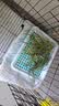 喜帅26年头茬提摩西草 烘干北提提草龙猫兔粮荷兰猪主粮磨牙零食500g 实拍图