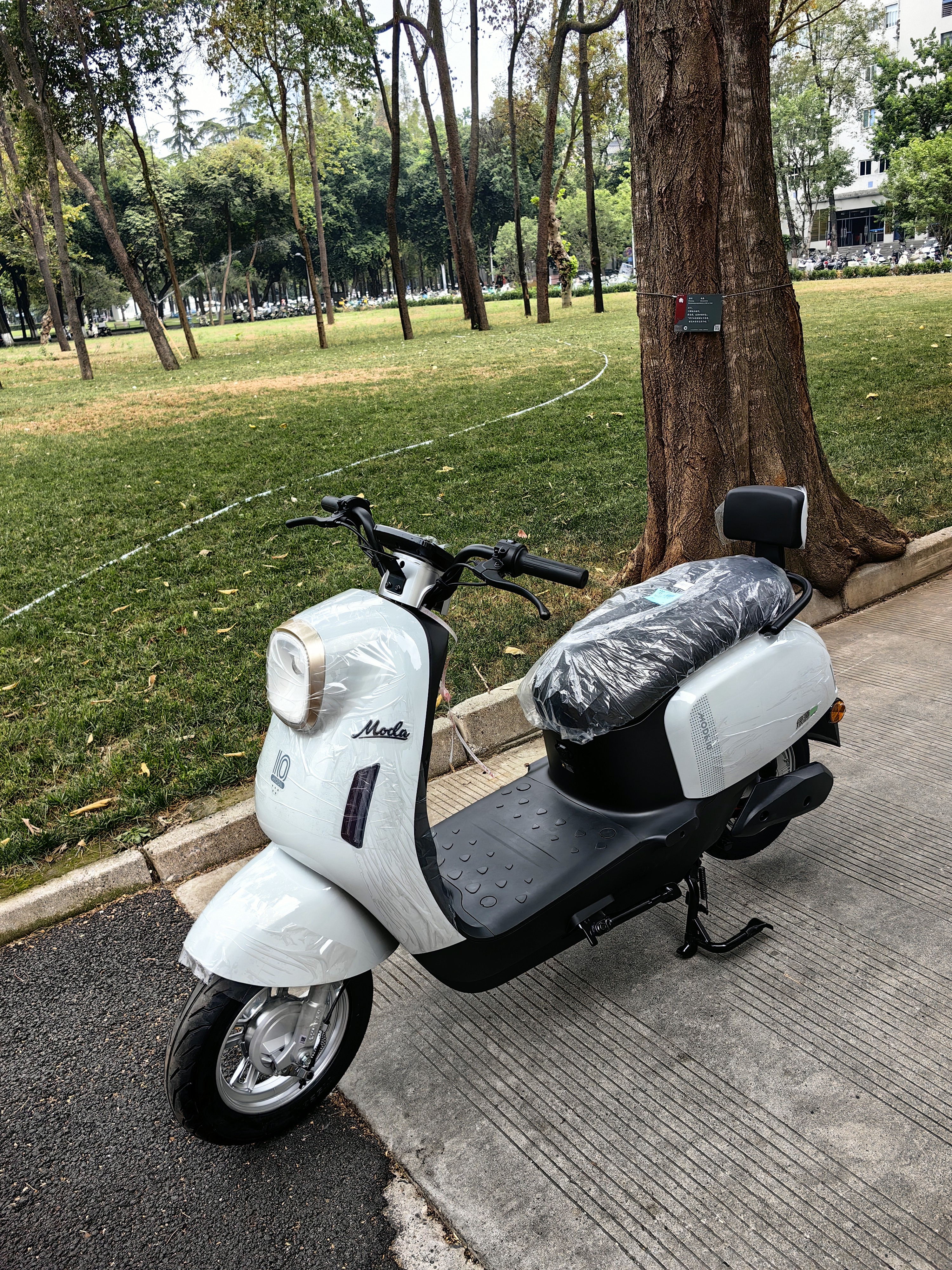绿源（Luyuan）电动摩托车M7U74公里长续航国民好车60V5块铅酸电池大动力1000W电机电瓶车代步通勤云影灰 实拍图
