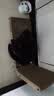 疯狂的主人猫抓板窝立式贴墙耐磨不掉屑特大号猫窝沙发猫咪玩具磨爪瓦楞纸 实拍图