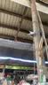 奥克斯免流量高清室外摄像头防水手机无线远程监控器360度无死角云台旋转无死角4g网络全景语音对话户外 实拍图