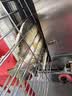 宸溪烤鱼炉商用燃气液化气无烟碳烤鱼机不锈钢全自动智能电烤鱼箱 2鱼双控电烤炉 实拍图