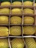 佳沛（zespri）新西兰金奇异果10粒巨大果146-175g猕猴桃中秋节礼品送水果礼盒 实拍图