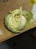 山东寿光新鲜青甘蓝卷心菜新鲜包菜青绿卷心菜手撕包菜爆炒 寿光甘蓝2斤（净重1.8斤） 实拍图