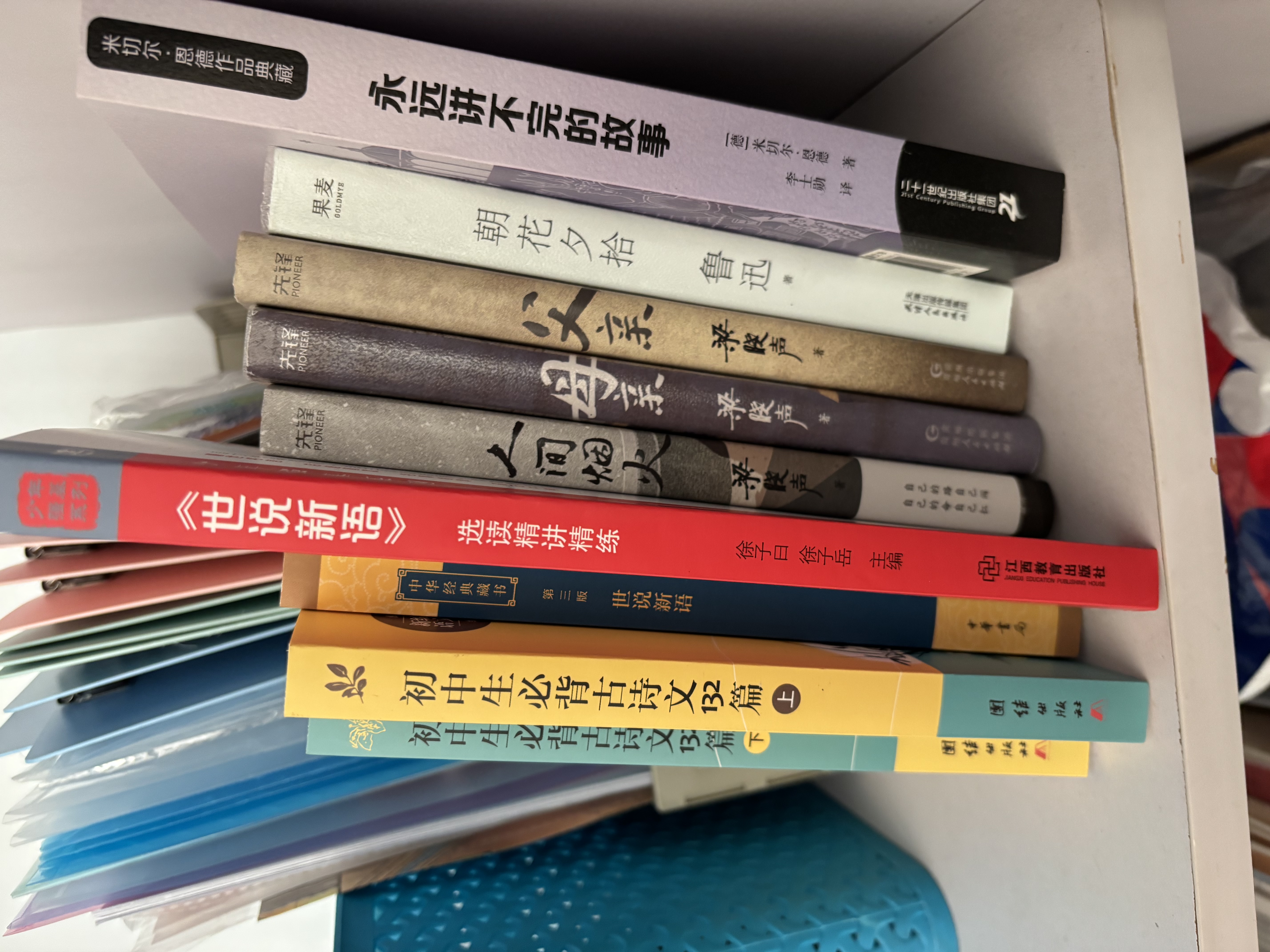 自营包邮 羊道·春牧场 李娟作品 另著我的阿勒泰羊道三部曲遥远的向日葵地等 实拍图