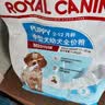 皇家狗粮 幼犬狗粮幼犬奶糕宠物中型犬MEJ32 全价犬粮 2-12月 4KG 实拍图