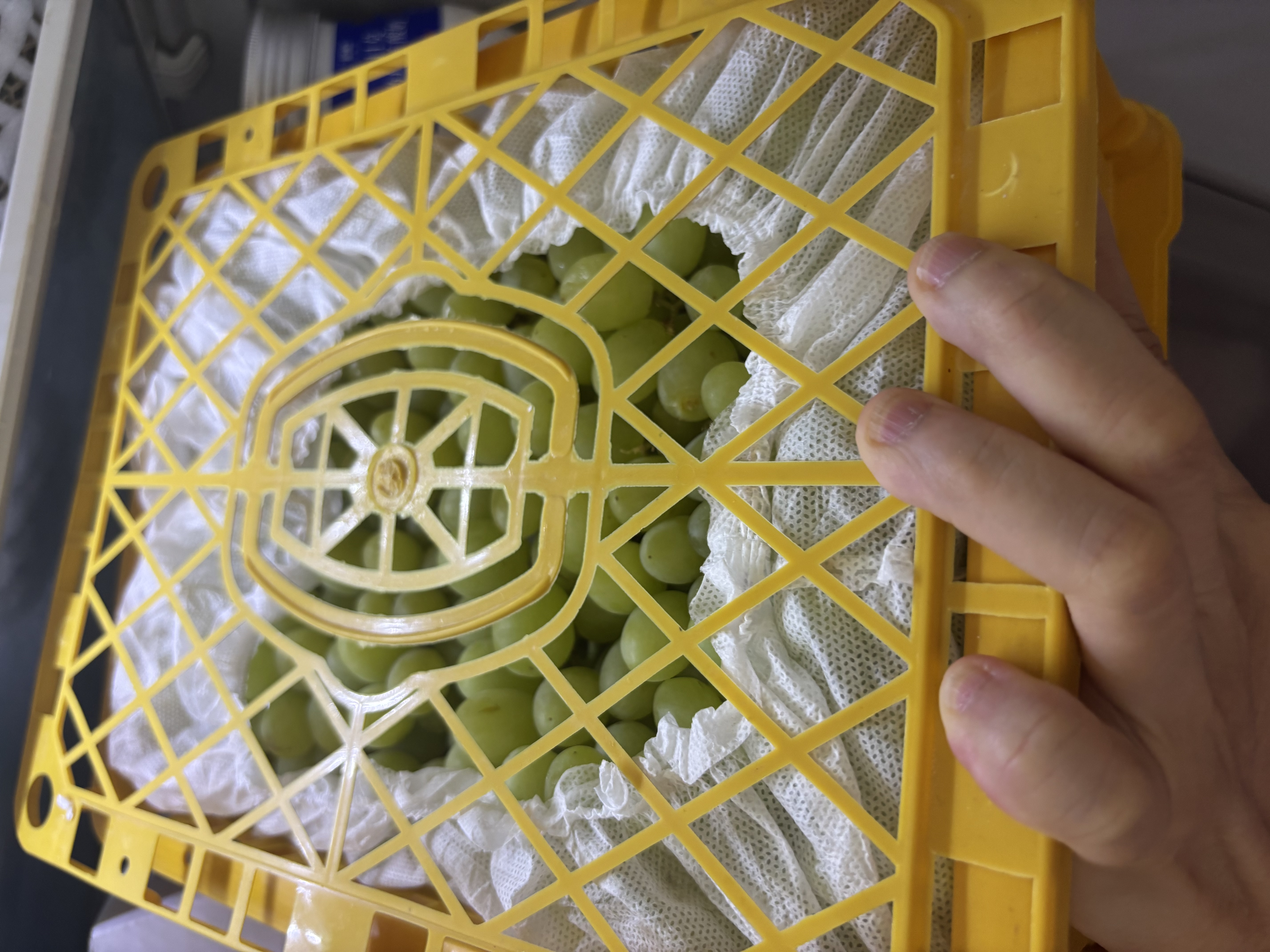 京地达新疆无核白葡萄原框净重4.5斤单果3g+京东自营水果源头直发包邮 实拍图