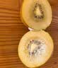 佳沛（zespri）新西兰金奇异果12粒特大果124-146g猕猴桃中秋节礼品送水果礼盒 实拍图