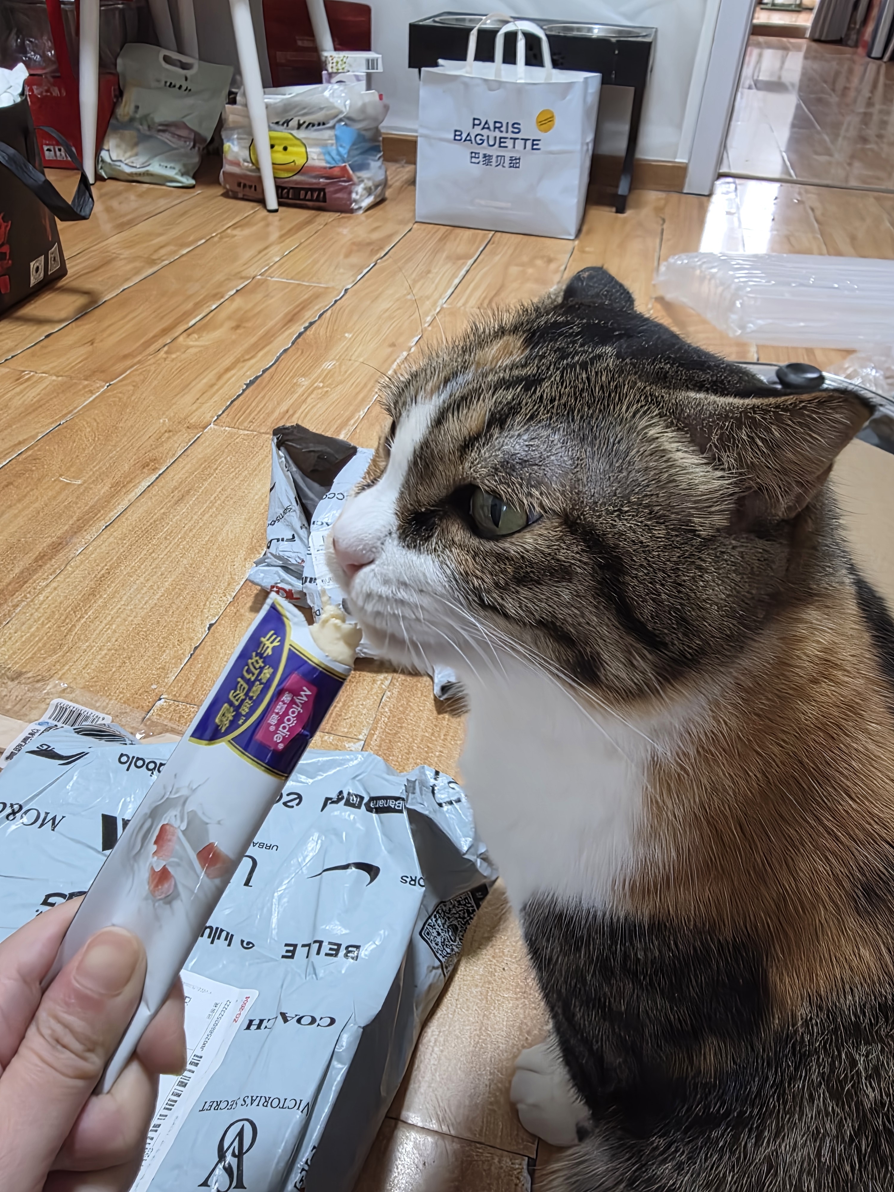 麦富迪猫条 奶弗羊奶肉酱猫条猫咪零食成幼猫呵护免疫臻鲜鸡肉14g*10支 实拍图