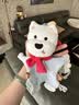babycare甜梦安抚巾牙胶新生儿婴儿安抚玩具毛绒玩偶手偶可咬-西高地哆哆 实拍图