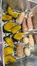 九阳（Joyoung）【钛空舱】有钛电蒸锅0塑0涂层炖蒸涮煮一体304钢底锅可拆洗22L三层大容量多功能蒸锅PL3J22小钛阳 实拍图