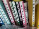 大中华寻宝记系列·儿童中国地理科普知识百科漫画书（29-32套装共4本）（内蒙古+山西+吉林+宁夏）人文地理，漫画读物 暑假作业 一升二暑假衔接 小升初暑假衔接 实拍图