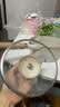 卡罗特麦饭石小奶锅宝宝辅食锅婴儿煎煮一体锅不粘钛锅家用汤泡面锅16cm 实拍图