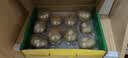 佳沛（zespri）新西兰金奇异果10粒巨大果146-175g猕猴桃中秋节礼品送水果礼盒 实拍图