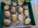 佳沛（zespri）新西兰金奇异果10粒巨大果146-175g猕猴桃中秋节礼品送水果礼盒 实拍图