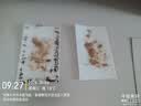 绿叶蟑螂屋蟑螂粘板25片装杀蛮蠊诱捕除蟑螂家用蟑螂贴 实拍图