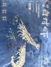 万景北海鲜冻白虾 国产白虾 单冻无冰净重4斤 100-120只 家庭聚餐 实拍图