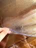 京东京造小学生桌垫 食品级透明书桌午餐垫一年级桌垫子软玻璃桌布40*60cm 实拍图
