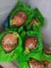 瑾贝13天金凤活珠子五香味50g*10枚新鲜开袋即食加蘸料钢化蛋熟鸡胚蛋 实拍图