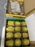佳沛（zespri）新西兰  阳光金奇异果10粒巨大果单果146-175g 猕猴桃 实拍图
