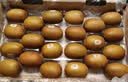 佳沛（zespri）新西兰金奇异果22粒巨大原箱146-175g猕猴桃中秋节礼品送水果礼盒 实拍图