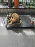 腆宠狗笼狗窝猫笼狗笼子中小型犬带厕所猫笼子大号家用室内狗围栏兔笼 实拍图