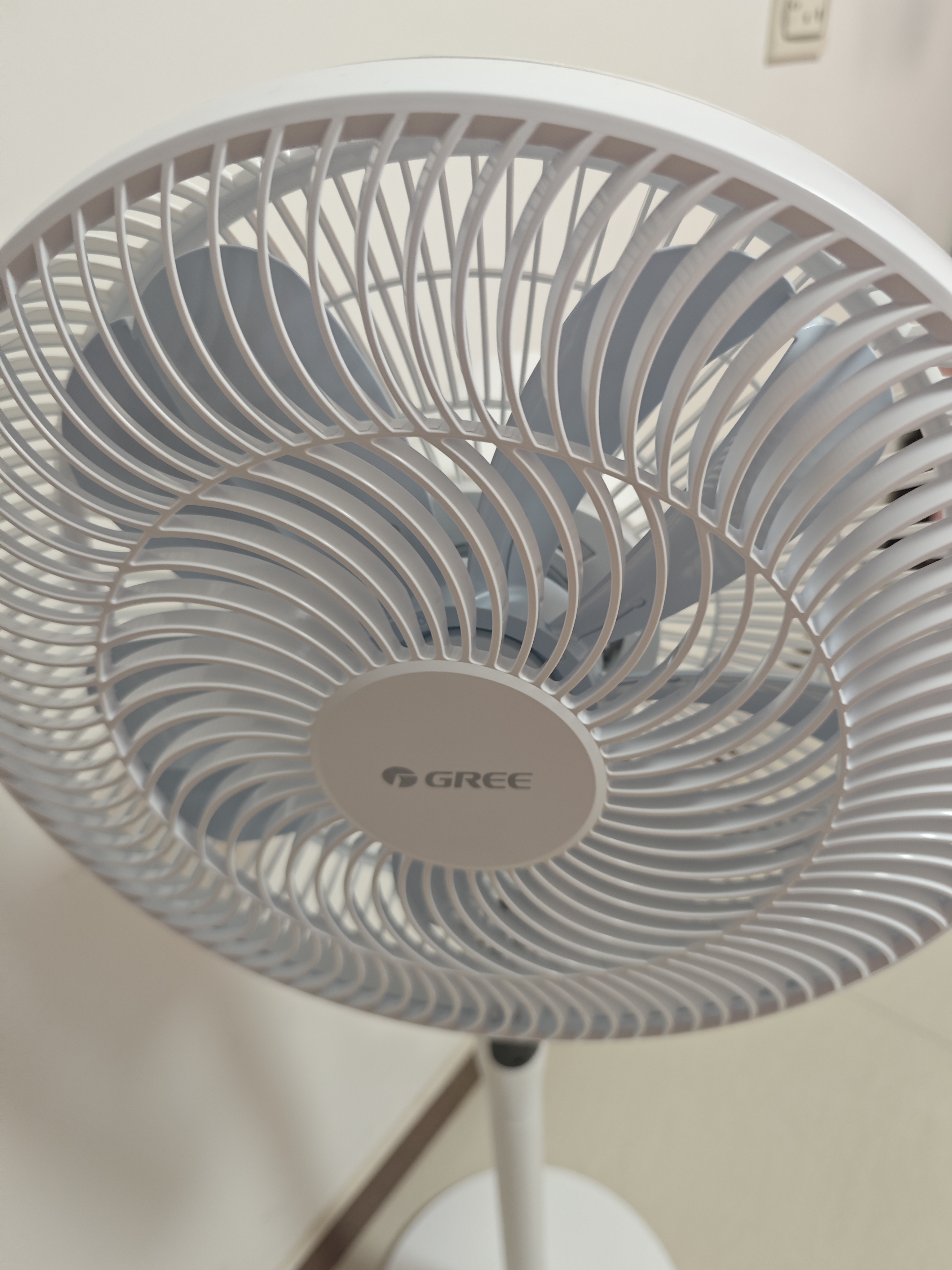 格力（GREE）【花精灵Pro】一级能效直流变频轻音节能语音遥控电风扇卧室大风量静音落地扇 实拍图