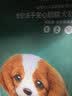 凯锐思狗粮离乳期奶糕幼犬1-3个月冻干夹心1-4月中大型小型犬粮1kg 实拍图