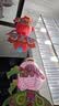 新玥灯笼中秋节儿童手提发光非遗锦鲤花灯中秋手工diy金鱼灯笼 橙色 实拍图