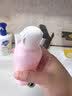 贝亲（Pigeon）桃叶精华 婴儿液体爽身露 四季通用 200ml IA171 实拍图