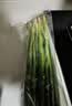 蘸酱小葱约150g 实拍图