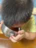 【10盒装】龙牡壮骨颗粒5g*30袋儿童补钙 维生素d 葡萄糖酸钙 乳酸钙颗粒 儿童健脾  促进营养吸收 长高 实拍图
