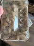 百草味罐装巴旦木450g 坚果零食扁桃仁手剥每日坚果送礼 实拍图