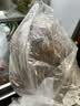 京鲜生云南昭通小草坝新鲜天麻 净重2斤大果现挖滋补煲汤源头直发包邮 实拍图