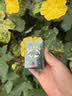 NHFOUYOU泰国青草膏蚊虫叮咬止痒防暑降温晕车提神醒脑旅行居家50g 实拍图